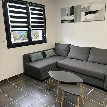 Lejlighed Parking Piscine Proche De Vienne Jardin